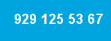 929 125 53 67